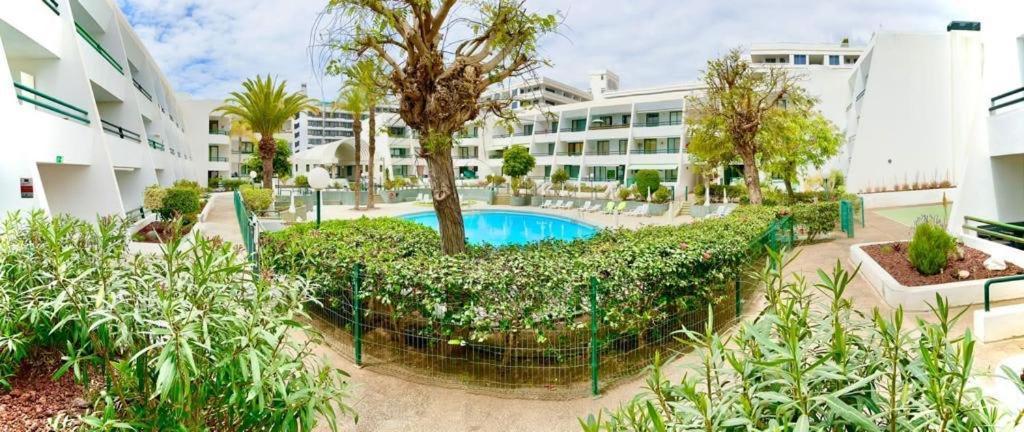 Optimist Playa De Las Americas Appartement Buitenkant foto